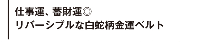 仕事運、貯蓄運◎　リバーシブルな白蛇柄金運ベルト