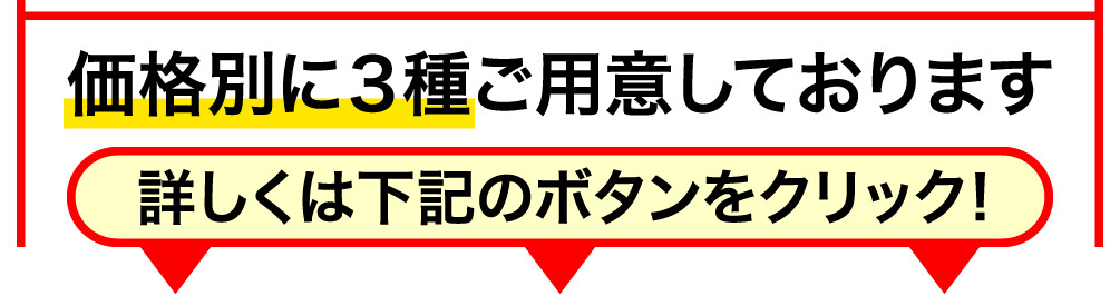 価格別に３種ご用意しております 詳しくは下記のボタンをクリック!