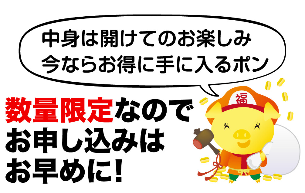 中身は開けてのお楽しみ 今ならお得に手に入るポン 数量限定なのでお申し込みはお早めに!