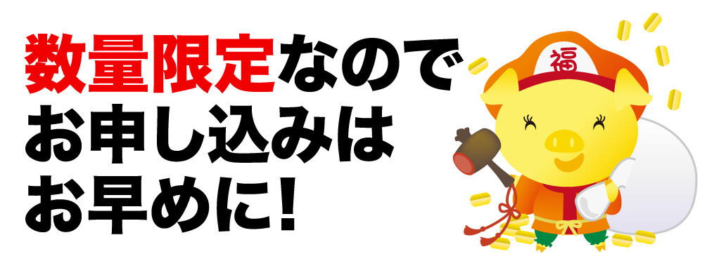 数量限定なのでお申し込みはお早めに!