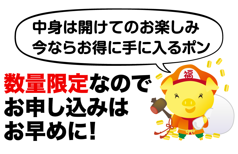 中身は開けてのお楽しみ今ならお得に手に入るポン 数量限定なのでお申し込みはお早めに!