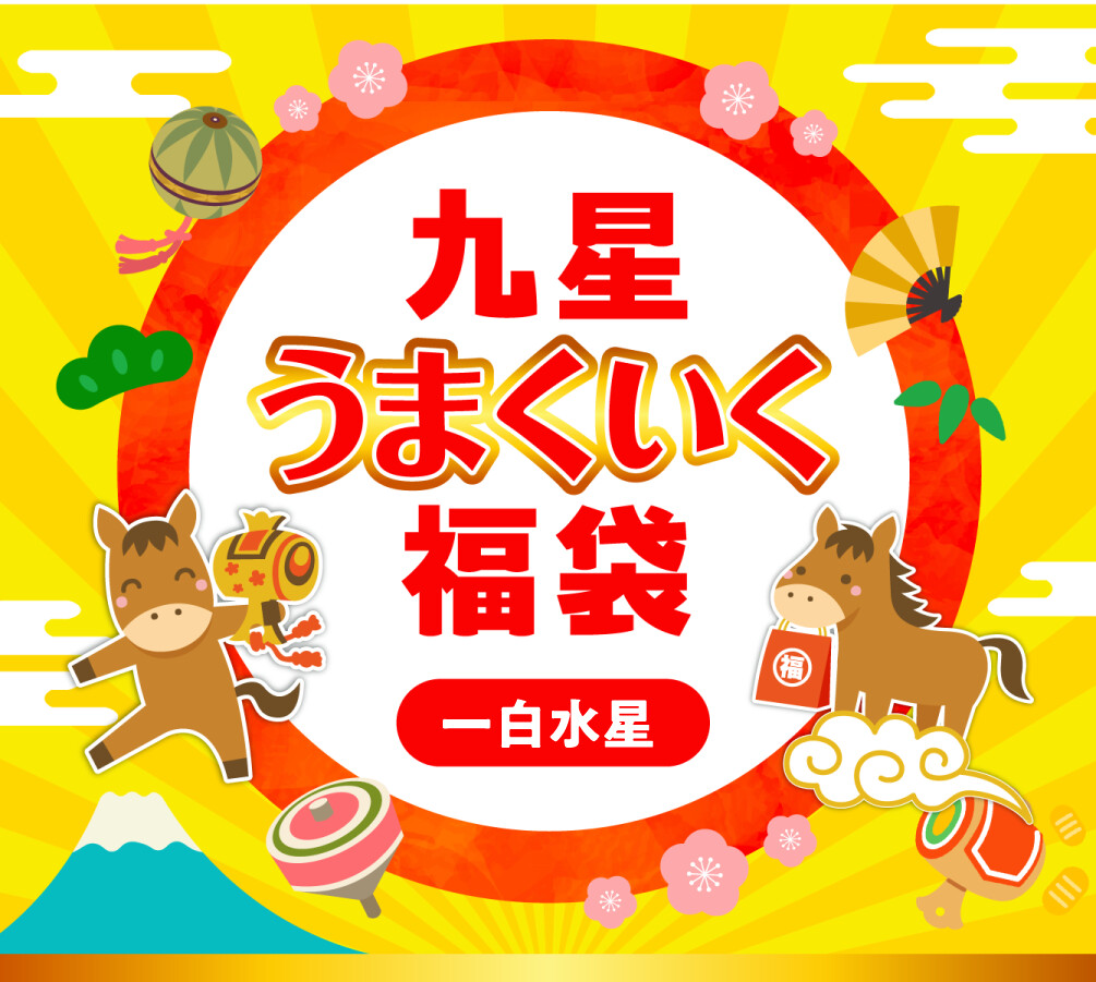 九星うまくいく福袋(一白水星)