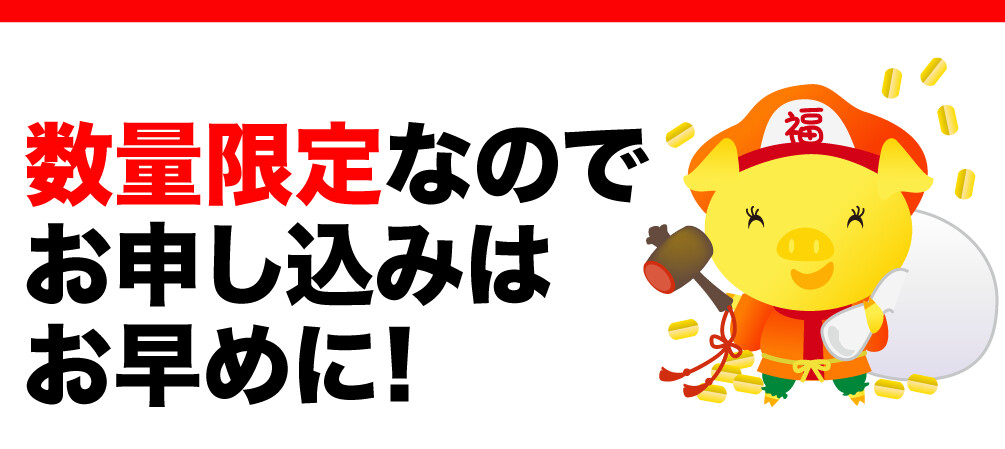 数量限定なのでお申し込みはお早めに!