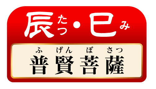 辰･巳 普賢菩薩