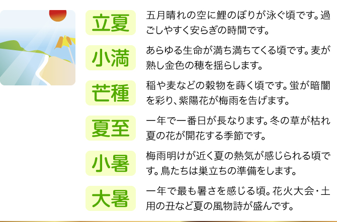 【立夏】五月晴れの空に鯉のぼりが泳ぐ頃です。過ごしやすく安らぎの時間です。／【小満】あらゆる生命が満ち満ちてくる頃です。麦が熟し金色の穂を揺らします。／【芒種】稲や麦などの穀物を蒔く頃です。蛍が暗闇を彩り、紫陽花が梅雨を告げます。／【夏至】一年で一番日が長なります。冬の草が枯れ夏の花が開花する季節です。／【小暑】梅雨明けが近く夏の熱気が感じられる頃です。鳥たちは巣立ちの準備をします。／【大暑】一年で最も暑さを感じる頃。花火大会・土用の丑など夏の風物詩が盛んです。