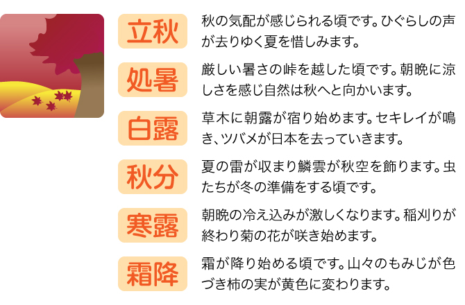 【立秋】秋の気配が感じられる頃です。ひぐらしの声が去りゆく夏を惜しみます。／【処暑】厳しい暑さの峠を越した頃です。朝晩に涼しさを感じ自然は秋へと向かいます。／【白露】草木に朝露が宿り始めます。セキレイが鳴き、ツバメが日本を去っていきます。／【秋分】夏の雷が収まり鱗雲が秋空を飾ります。虫たちが冬の準備をする頃です。／【寒露】朝晩の冷え込みが激しくなります。稲刈りが終わり菊の花が咲き始めます。／【霜降】霜が降り始める頃です。山々のもみじが色づき柿の実が黄色に変わります。