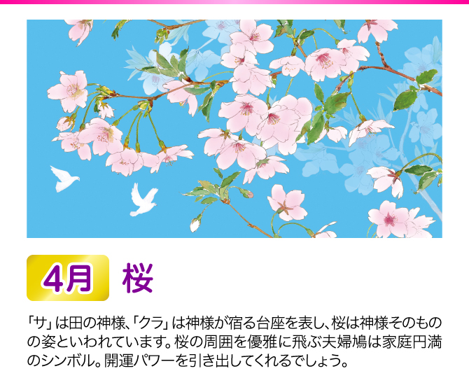 【4月：桜】