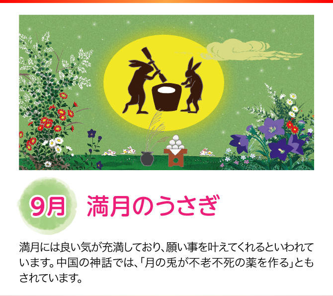 【9月：満月のうさぎ】
