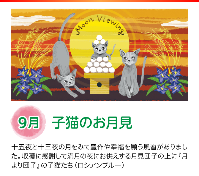 【9月：子猫のお月見】