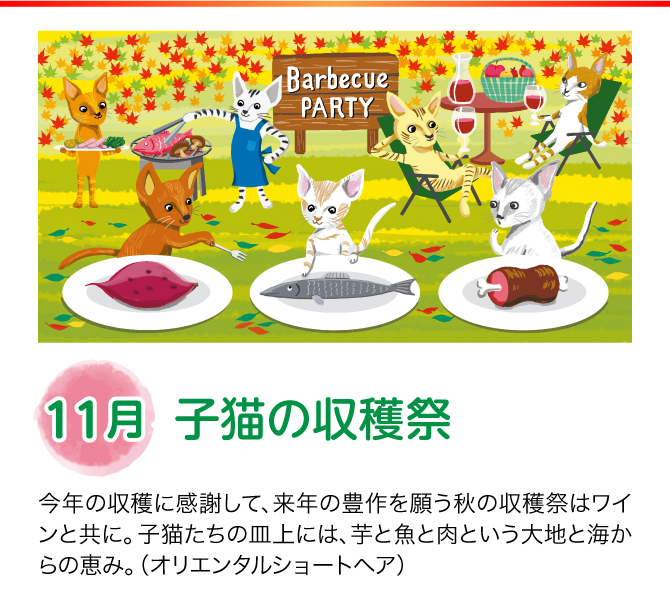 【11月：子猫の収穫祭】