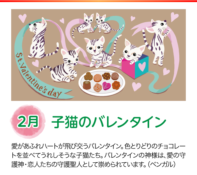 【2月：子猫のバレンタイン】