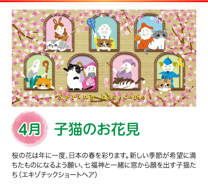 【4月：子猫のお花見】