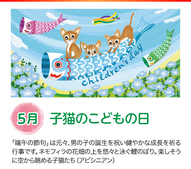【5月：子猫のこどもの日】