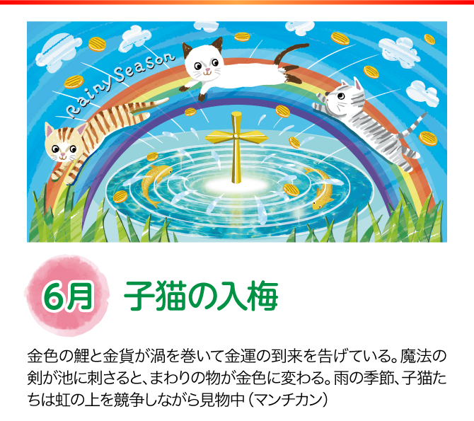 【6月：子猫の入梅】