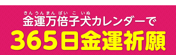 金運万倍子犬カレンダーで365日開運祈願