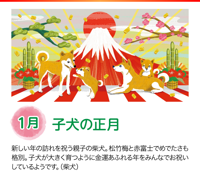 【1月：子犬の正月】