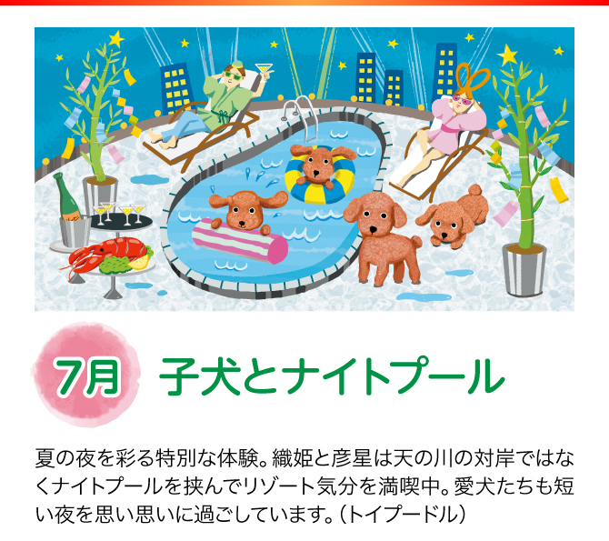 【7月：子犬とナイトプール】