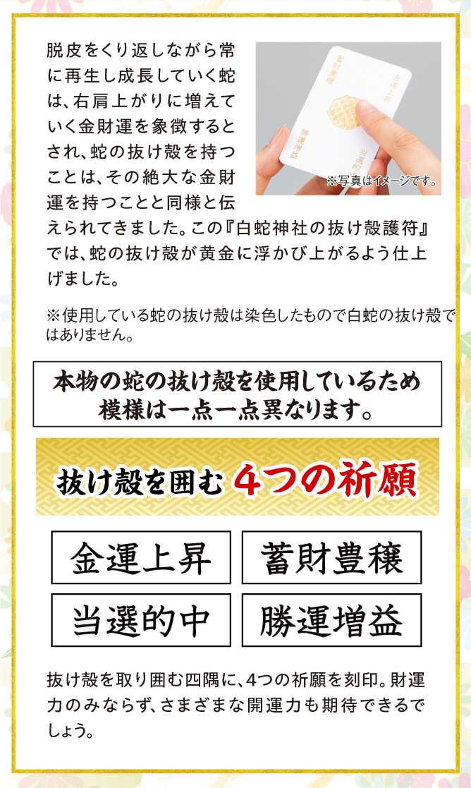 蛇の抜け殻を取り囲む四つの祈願