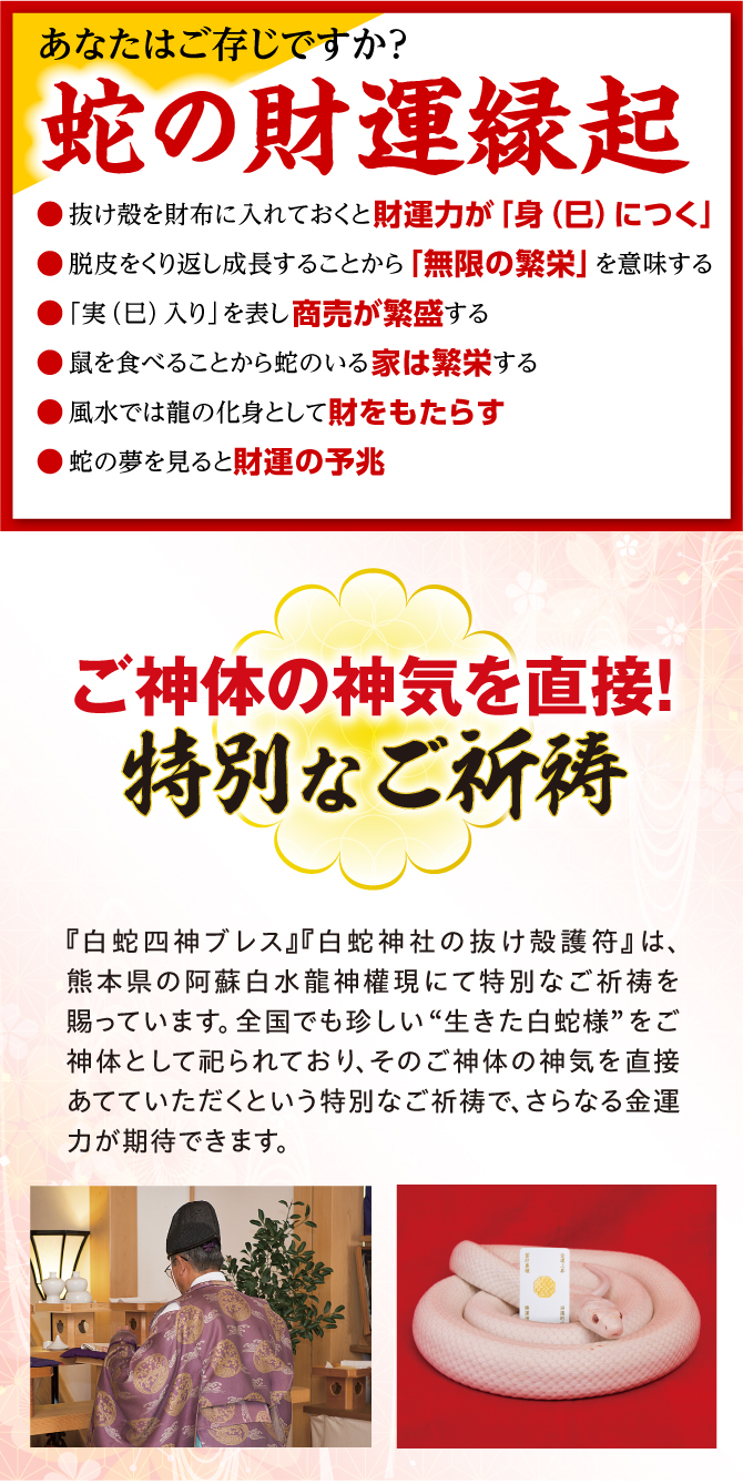 白蛇様を御神体として祀る金運神社「阿蘇白水龍神權現」