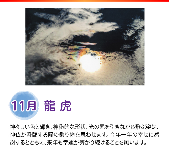 【11月：龍虎】