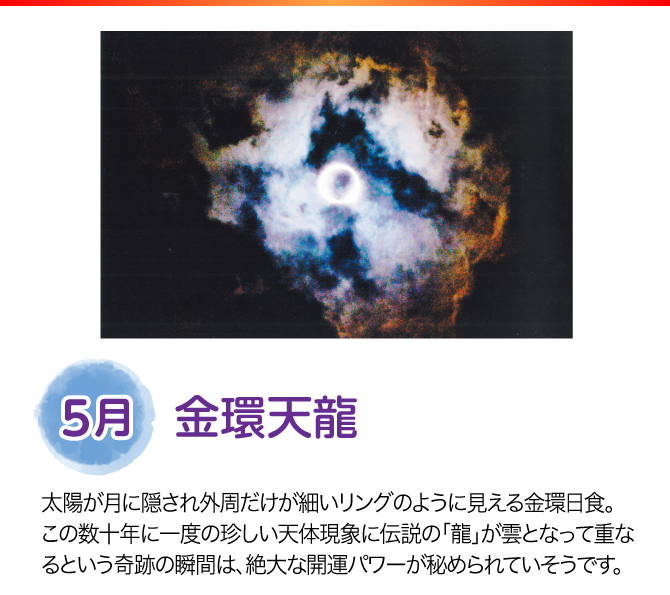 【5月：金環天龍】