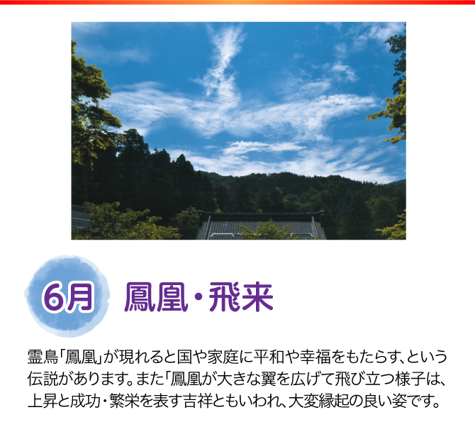 【6月：鳳凰・飛来】