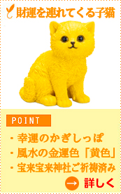 財運を連れてくる子猫