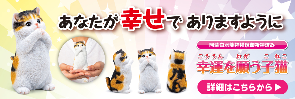 幸運を願う子猫