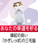 幸運を願う子猫