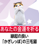 金運を願う子猫