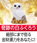 秋山勉唯絵の財運白ふくろう