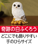 秋山勉唯絵の財運白ふくろう