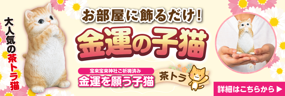 金運を願う子猫(茶トラ)