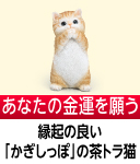 金運を願う子猫(茶トラ)
