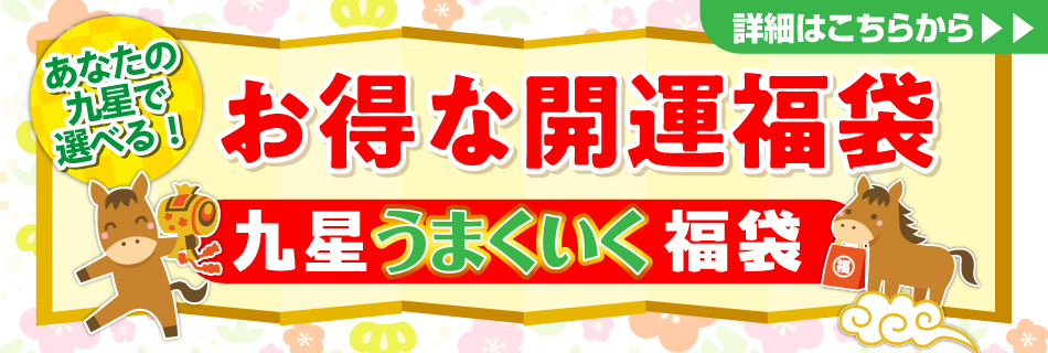 九星うまくいく福袋