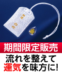 白蛇干支御本尊御守