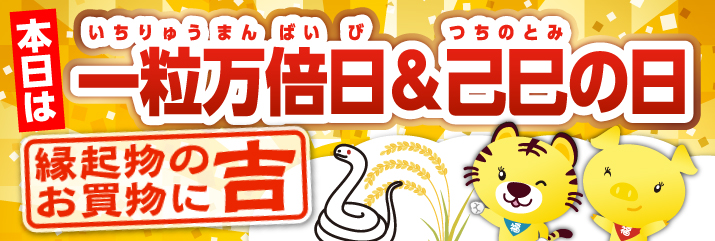 一粒万倍日×己巳の日