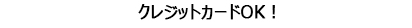 代引き無料！クレジットカードOK！