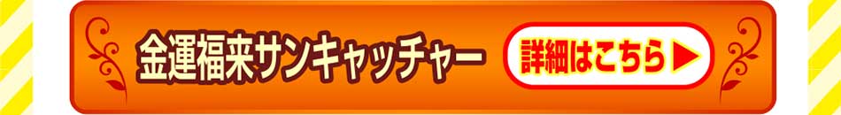 金運副来サンキャッチャー