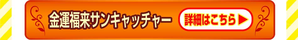 金運副来サンキャッチャー