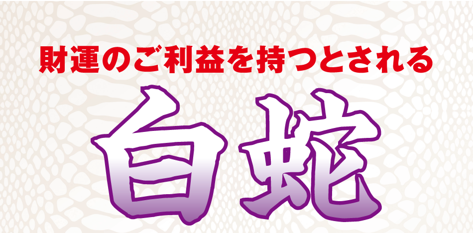 財運のご利益を持つとされる白蛇